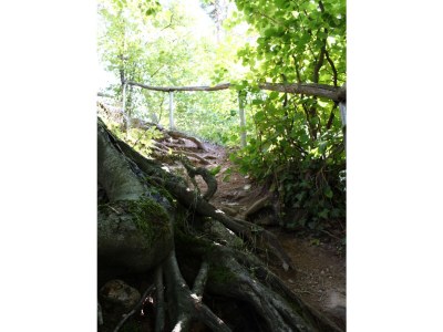 Holiday house Ferienhaus Sonneneckchen - Environment photo 14