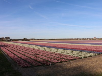 Holiday house Villa Ooghduyne 82 - Environment photo 25