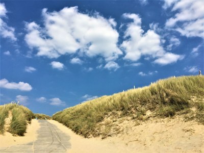 Holiday house Villa Ooghduyne 82 - Environment photo 26