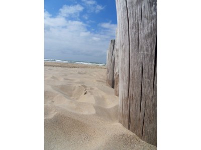 Holiday house Dunopark 28 - Environment photo 14