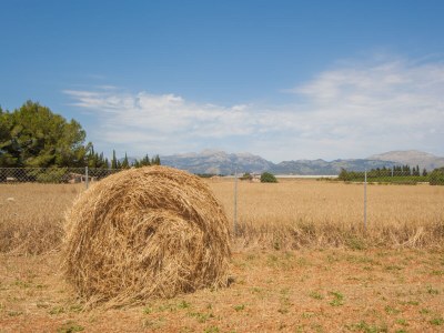 Finca s'Estació - Outdoor photo 16