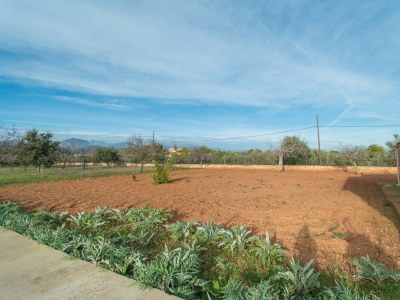 Villa Ca'n Canastro - Outdoor photo 14