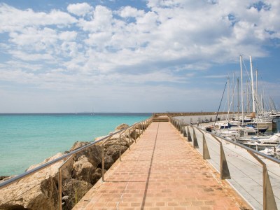 Chalet Mosaic - Environment photo 21