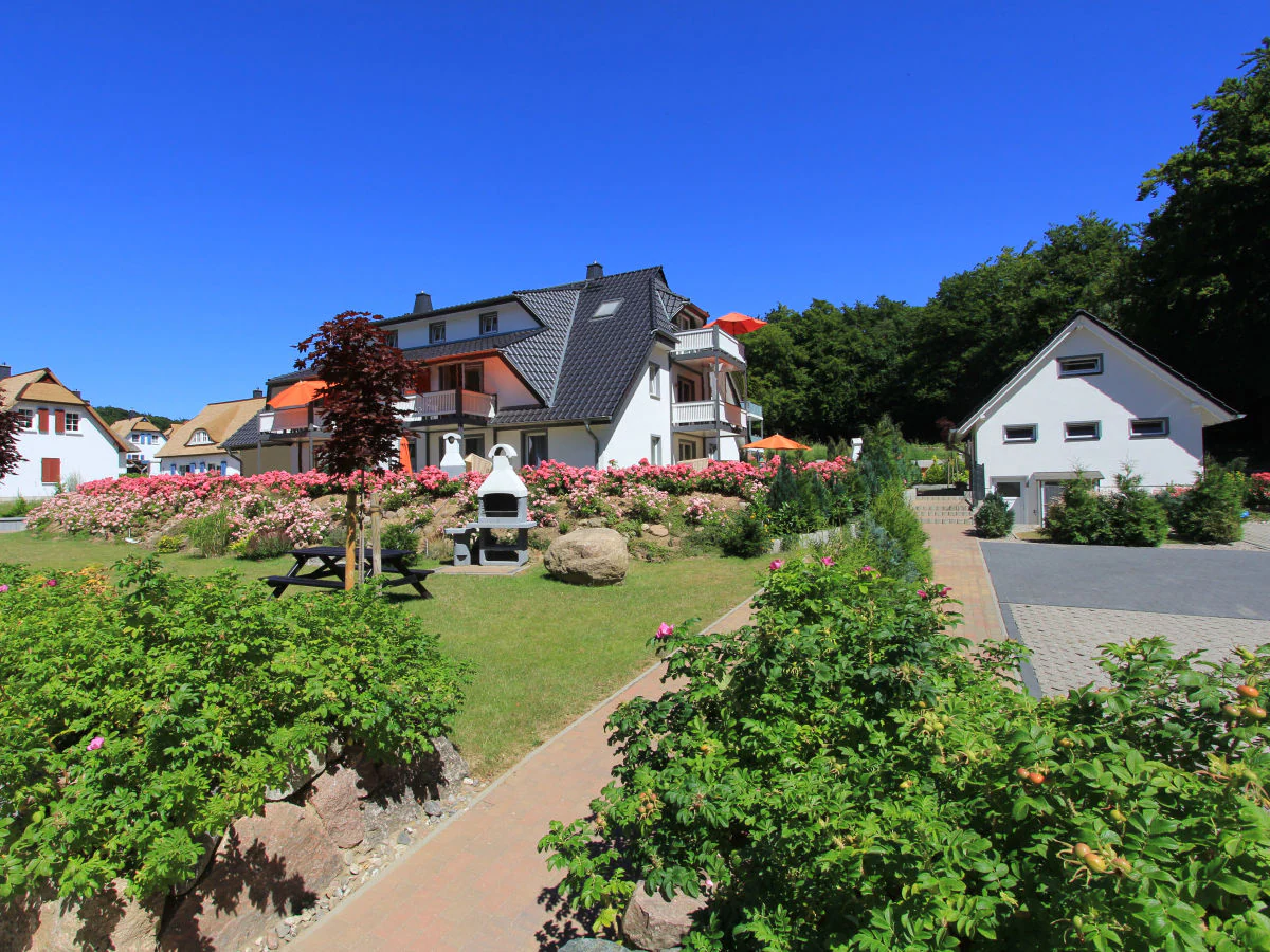 Holiday apartment Nr. 7 im Küstenwaldhaus