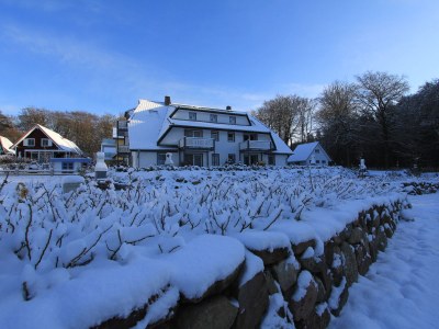 Holiday apartment Nr. 7 im Küstenwaldhaus - Outdoor photo 6