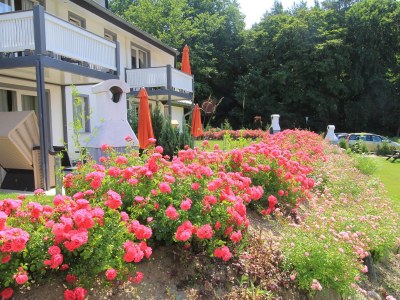 Holiday apartment Nr. 7 im Küstenwaldhaus - Outdoor photo 7
