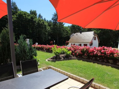 Holiday apartment Nr. 7 im Küstenwaldhaus - Outdoor photo 8