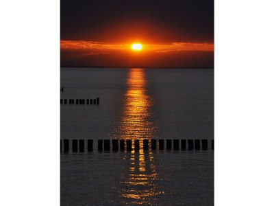 Holiday apartment Nr. 7 im Küstenwaldhaus - Environment photo 19