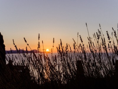 Villa Vent d'Est - Environment photo 31