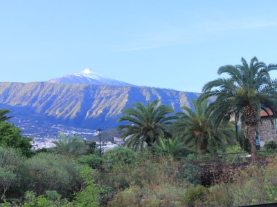 Holiday apartment El Sueno - Outdoor photo 4