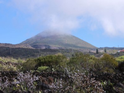 Holiday apartment El Sueno - Environment photo 17