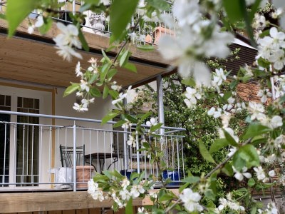 Holiday apartment Penthouse-Walsersuite - Outdoor photo 11