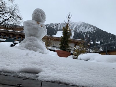 Holiday apartment Penthouse-Walsersuite - Features photo 26