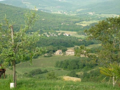 Holiday house Casa Cervino - Outdoor photo 3