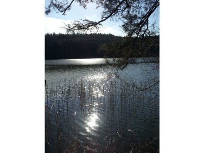 Holiday house Eichberg - Environment photo 16