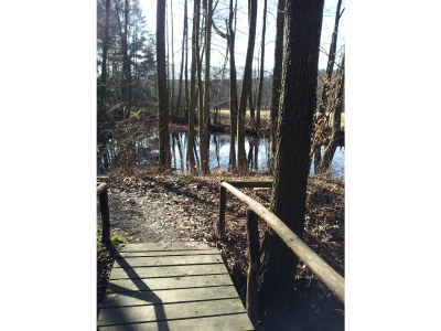 Holiday house Eichberg - Environment photo 17