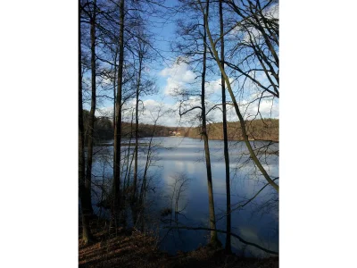 Holiday house Eichberg - Environment photo 18