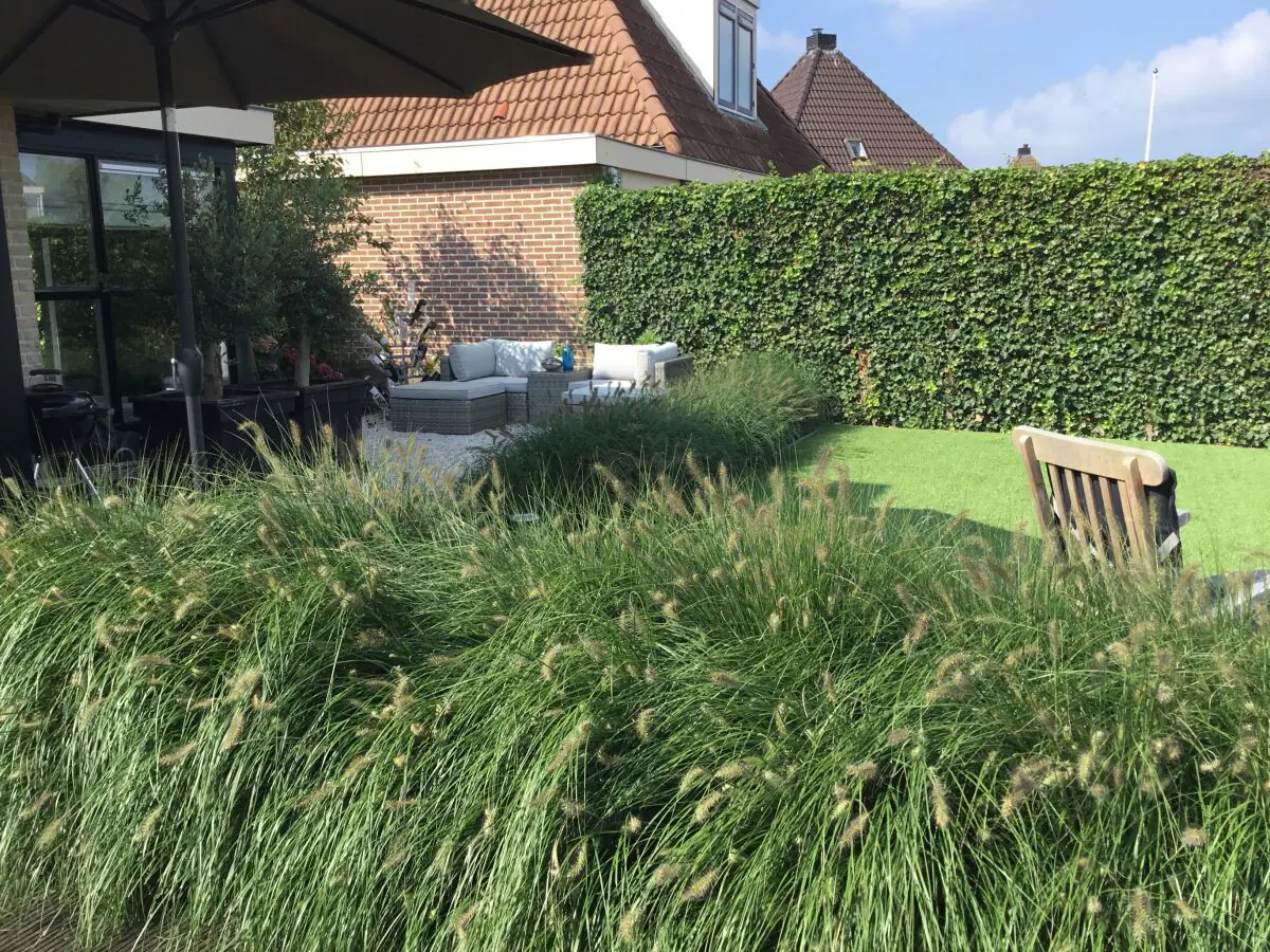 Holiday house Volkers-van der Horst - Outdoor photo 3