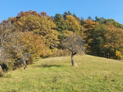Holiday apartment Wutach Valley - Environment photo 29