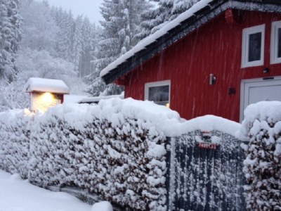 Holiday house Rur-Paradies - Outdoor photo 3