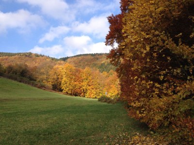 Holiday house Rur-Paradies - Environment photo 16