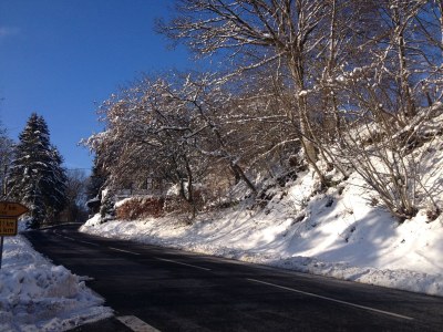 Holiday house Rur-Paradies - Environment photo 18