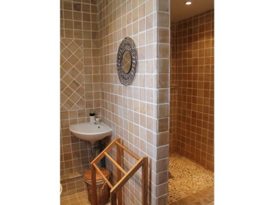 Holiday house with Mediterranean garden and pool - 688 RMY - Features photo 14