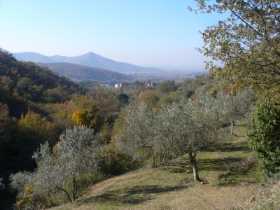 Holiday apartment with beautiful garden and shared pool - 433 COR - Outdoor photo 6