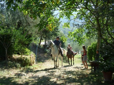 Holiday apartment with beautiful garden and shared pool - 433 COR - Environment photo 16