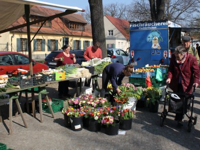 Holiday house Alte Tischlerei (Old Carpentry Workshop) - Environment photo 17