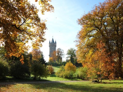 Holiday house Alte Tischlerei (Old Carpentry Workshop) - Environment photo 18