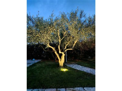 Holiday house Zugan - Outdoor photo 15