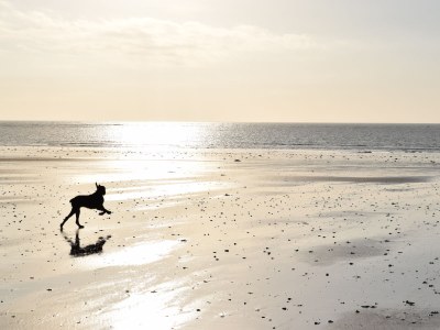 Holiday house Le Marais - Environment photo 15