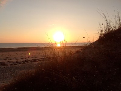 Holiday house Le Marais - Environment photo 19