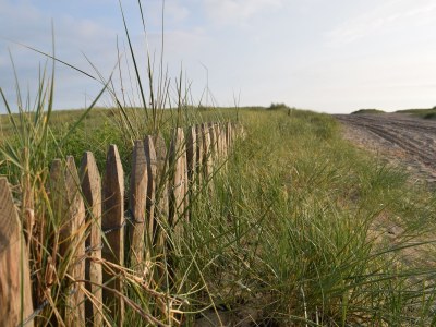 Holiday house Le Marais - Environment photo 20