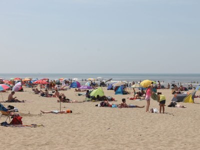 Holiday apartment Proost - Environment photo 18