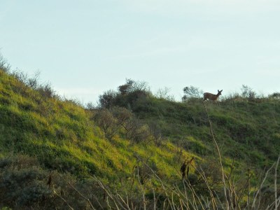 Holiday apartment Proost - Environment photo 25