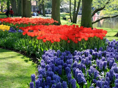 Holiday apartment Proost - Environment photo 26