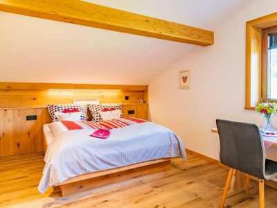 Holiday apartment Schwemmbauer 4 - Features photo 18