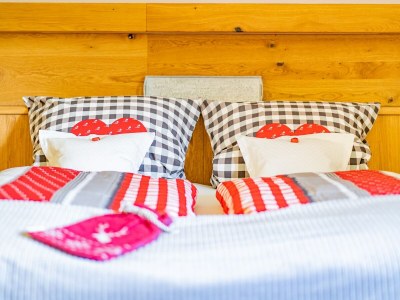 Holiday apartment Schwemmbauer 4 - Features photo 19