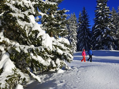 Holiday apartment Schwemmbauer 4 - Environment photo 32