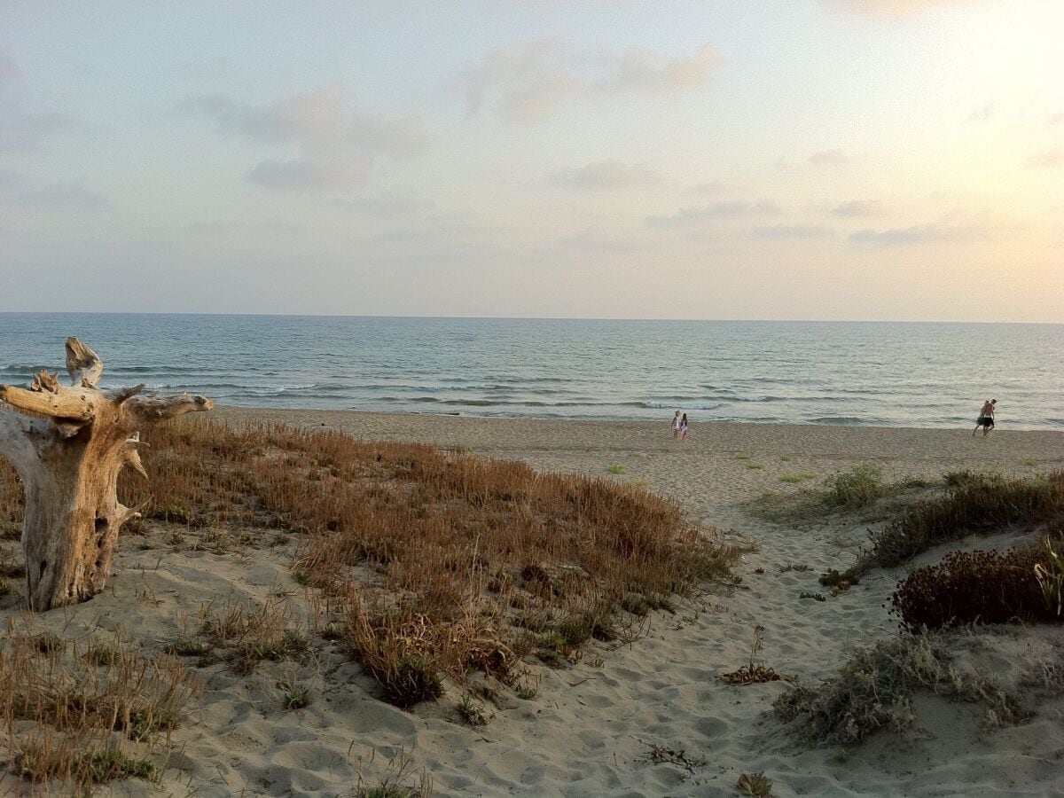 Holiday house Villa on the beach