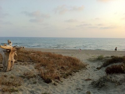 Holiday house Villa on the beach in Lido dei Pini - Holiday house