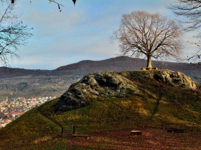 Holiday apartment on the Blohn. - Environment photo 20