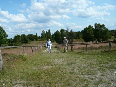 Holiday apartment DAT FALKENHUUS - Environment photo 14