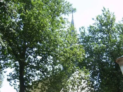 Chalet Zijpersluis II Chalet 70 - Environment photo 11