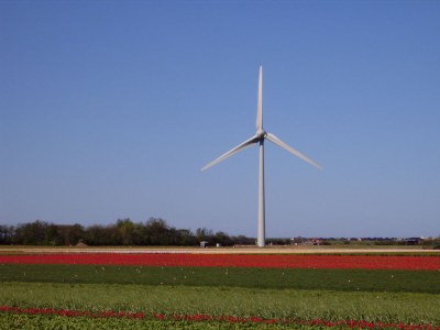 Chalet Zijpersluis II Chalet 70 - Environment photo 18