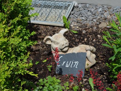 Holiday apartment Gretel. - Outdoor photo 6