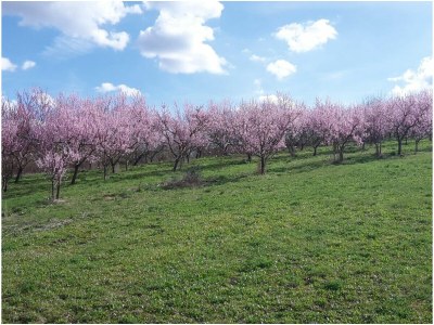 Holiday apartment Gretel. - Environment photo 20