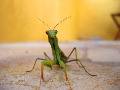 Holiday house - No title - - Environment photo 17